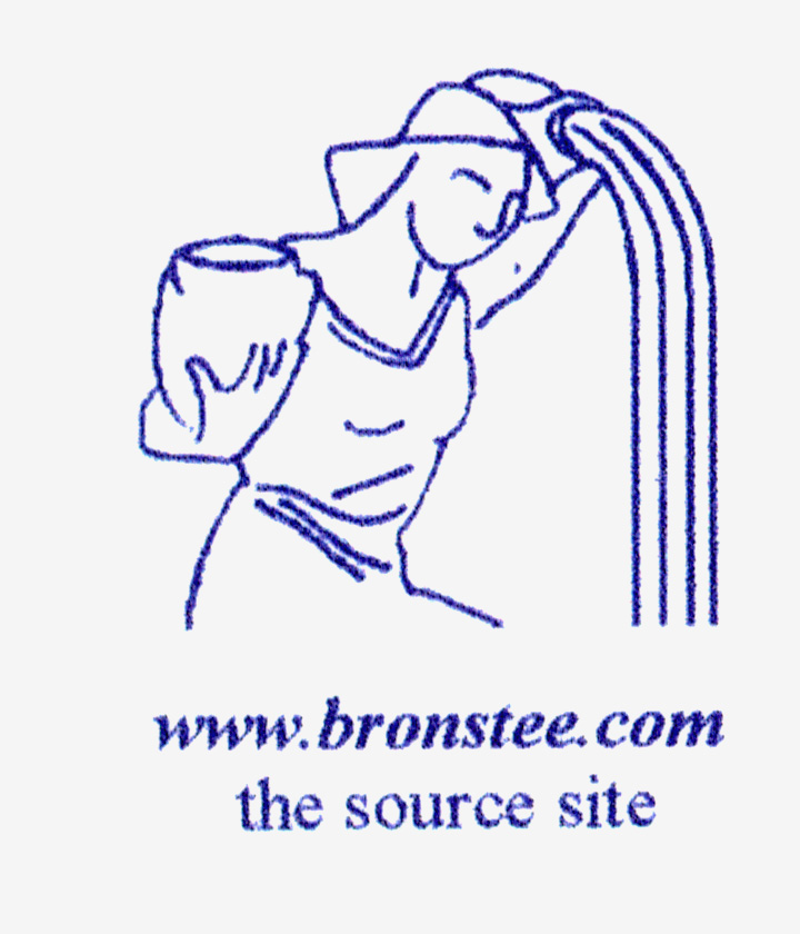bronsteelogo
