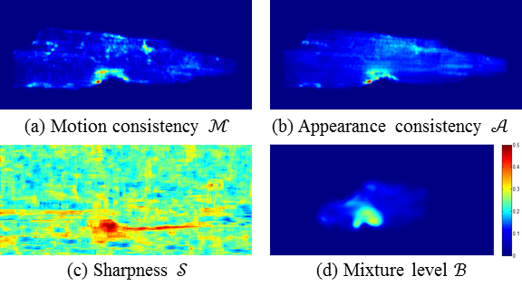 CVPR2013Img_7